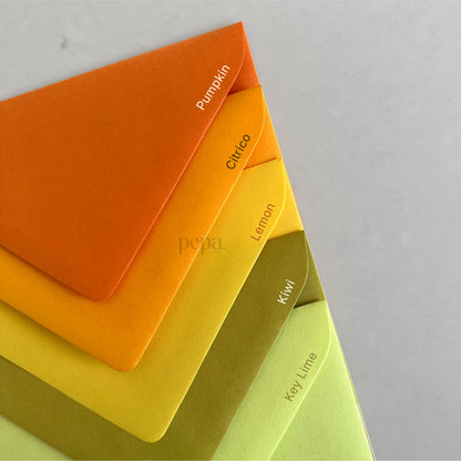 BLANK Envelopes